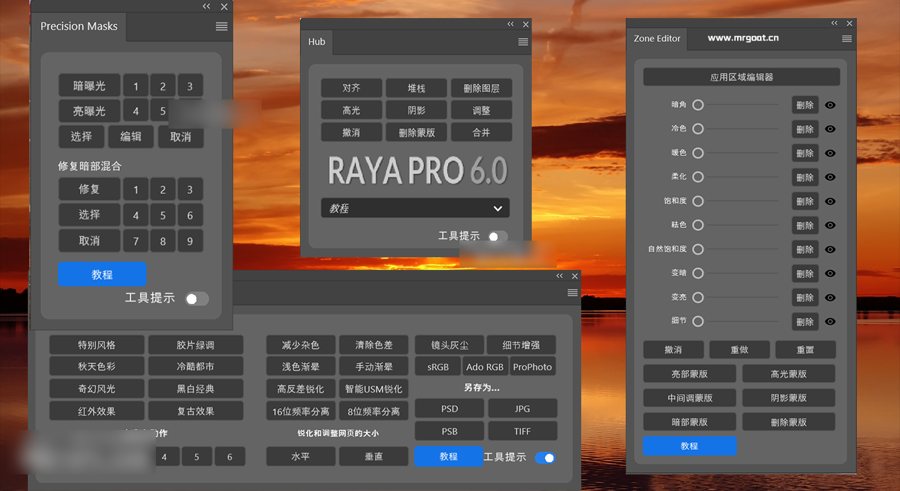 Raya Pro 中文汉化版