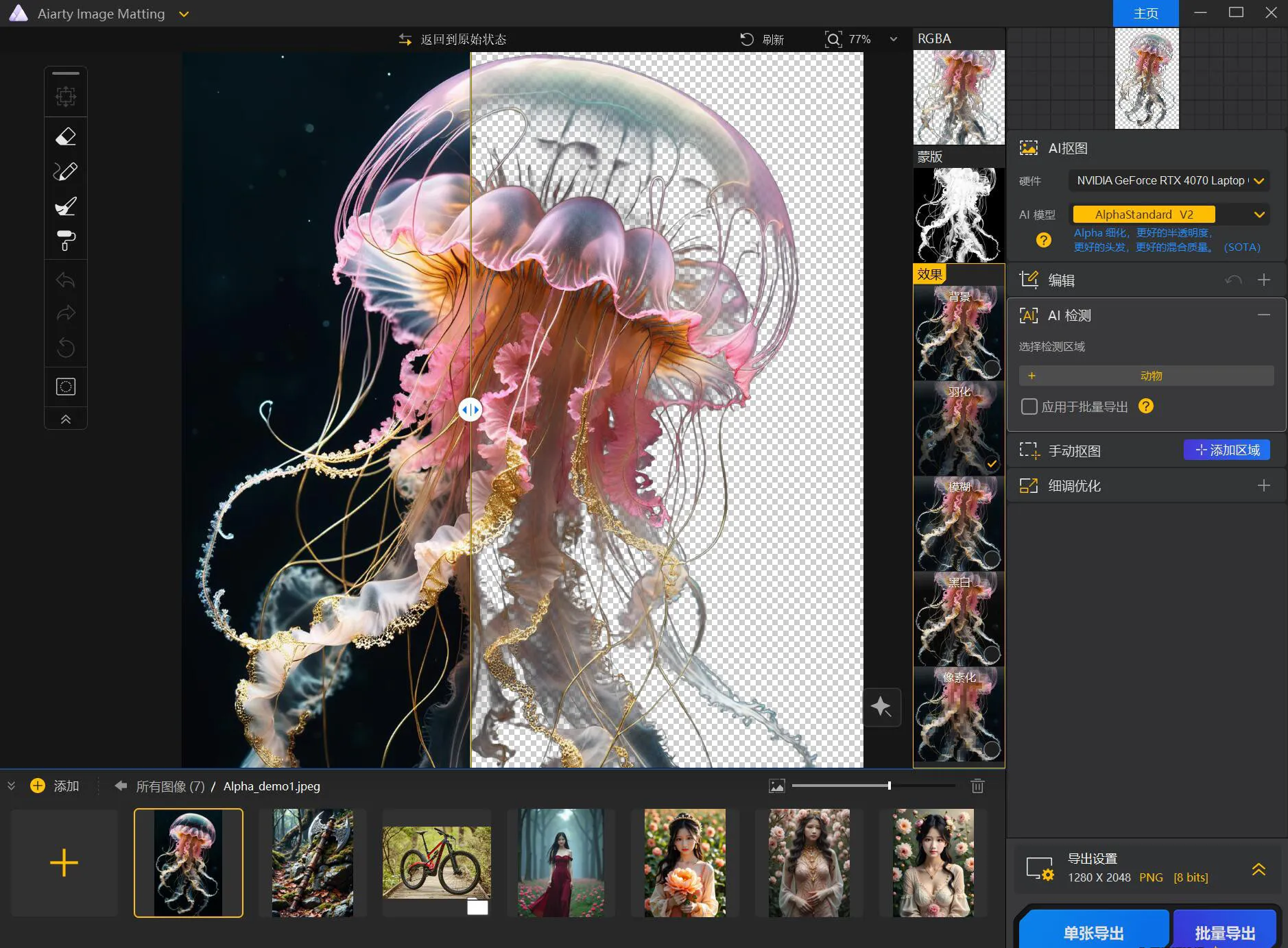 Aiarty Image Matting