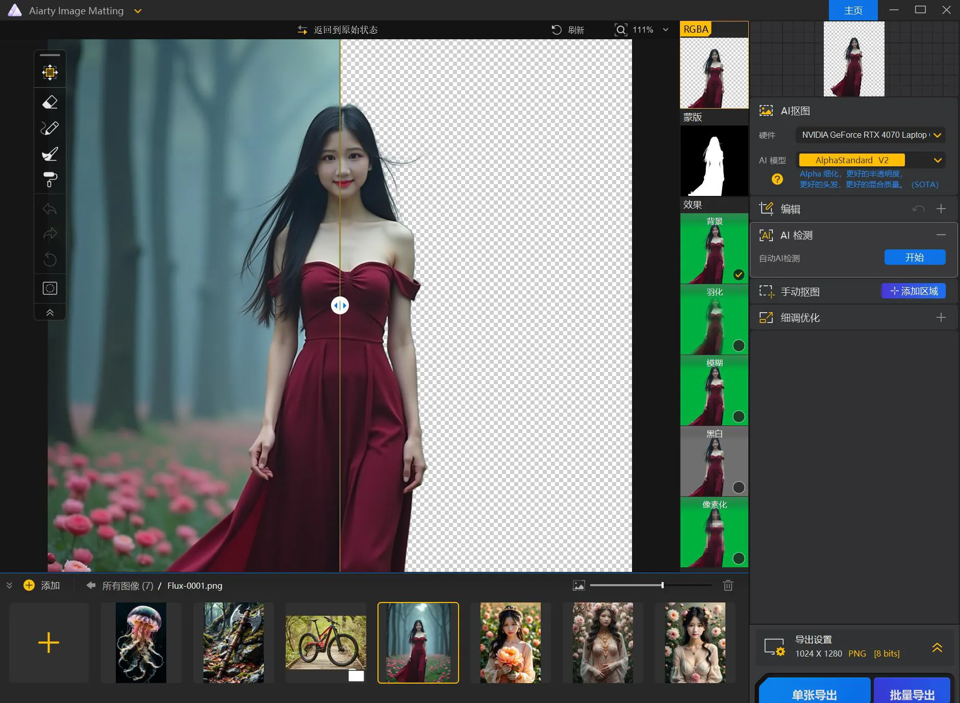 Aiarty Image Matting