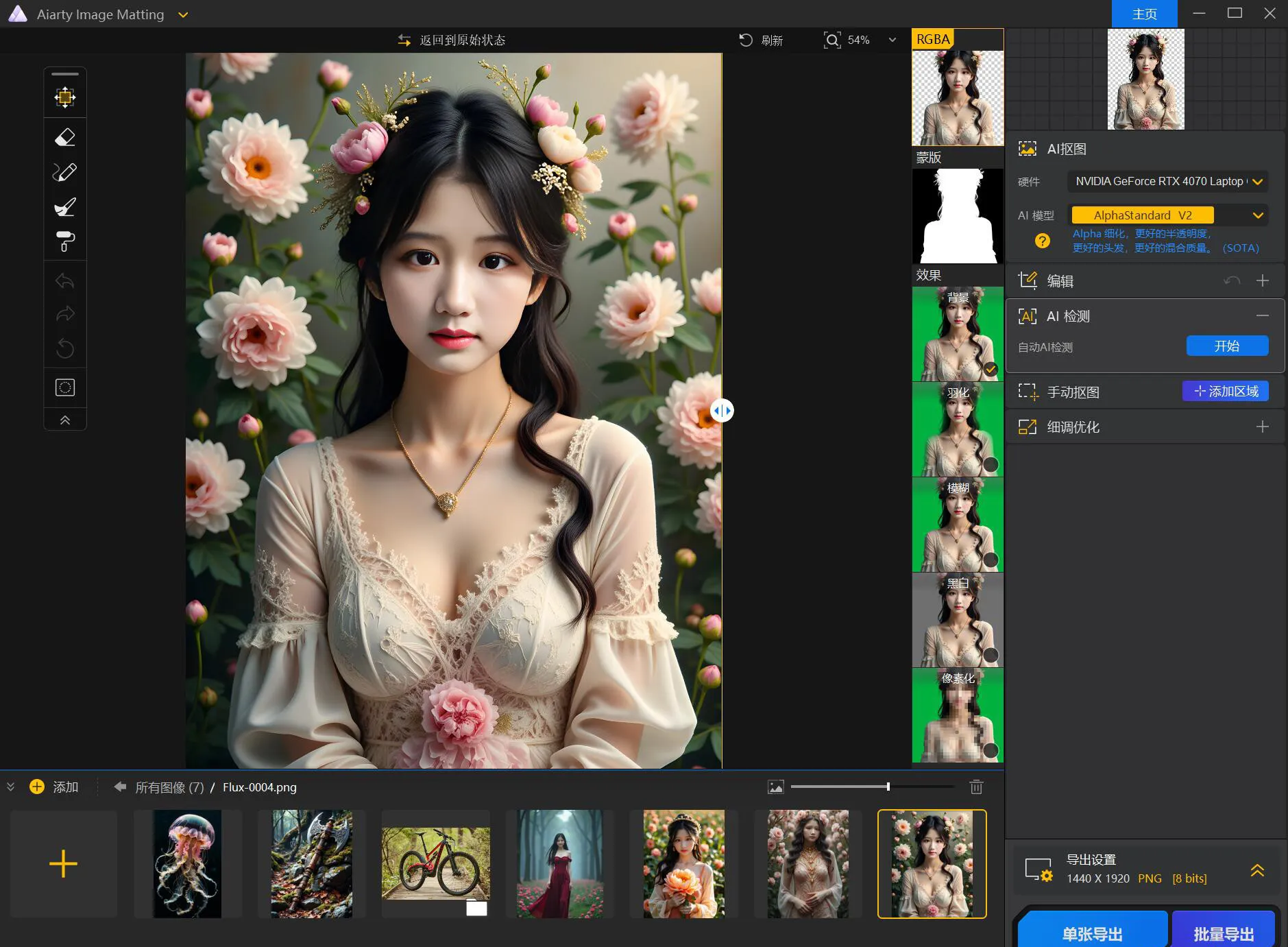 Aiarty Image Matting
