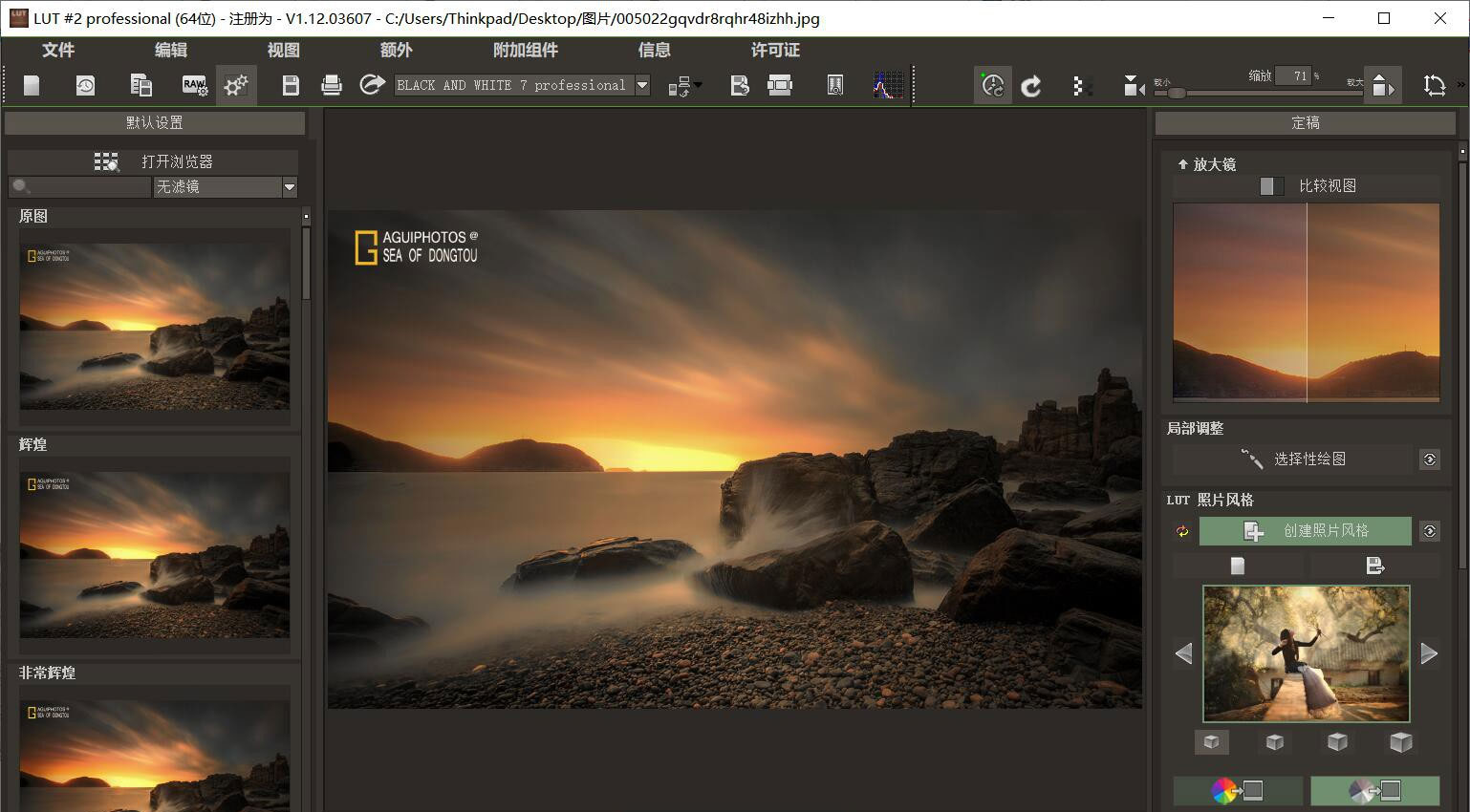 Franzis LUT #1 professional 中文汉化版