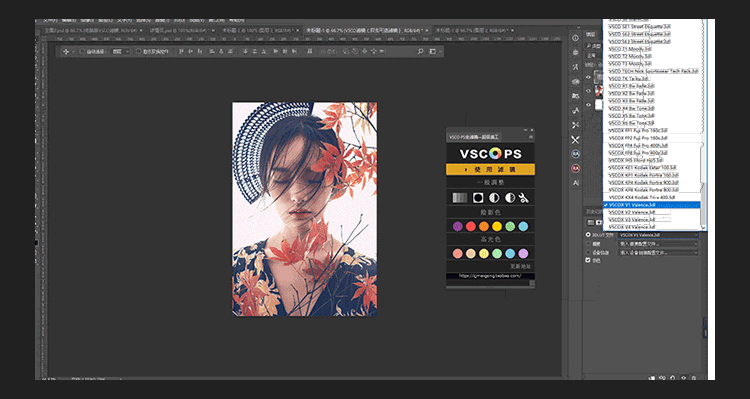 PS扩展面板VSCOcam全滤镜文艺小清新一键调色