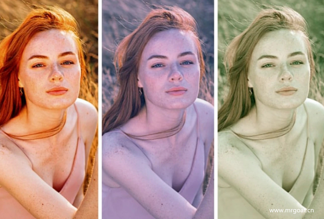 Photoshop调色神器 Franzis LUT #1 professional 中文汉化版