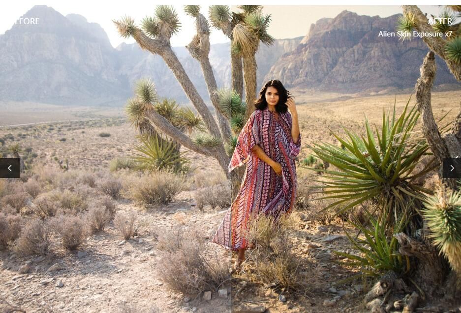 Alien Skin Exposure 7 中文破解版