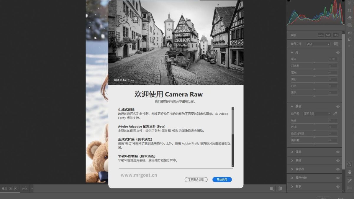 Camera Raw 系列软件