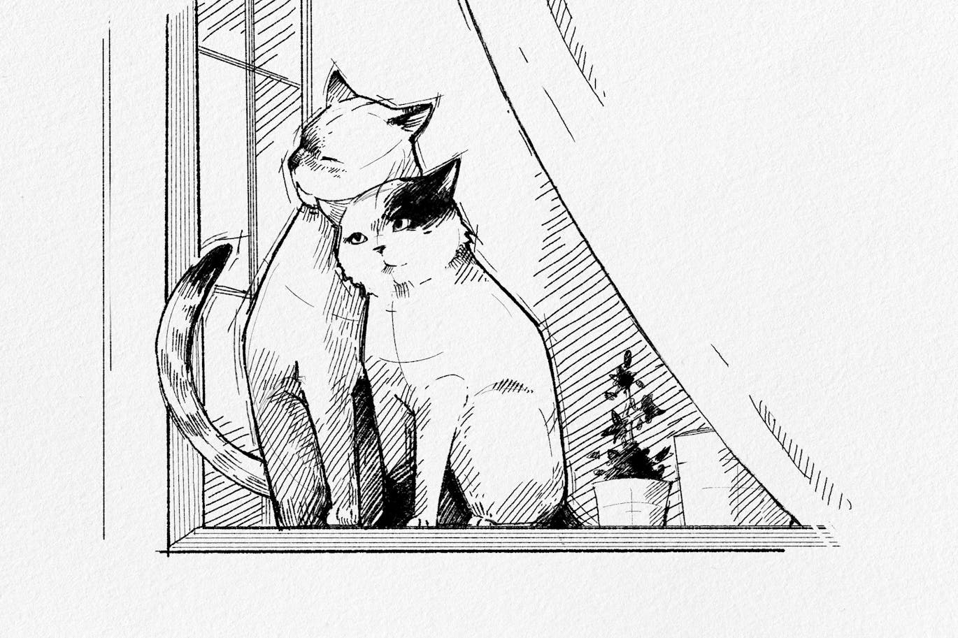 亲和力素描风格样子PS笔刷