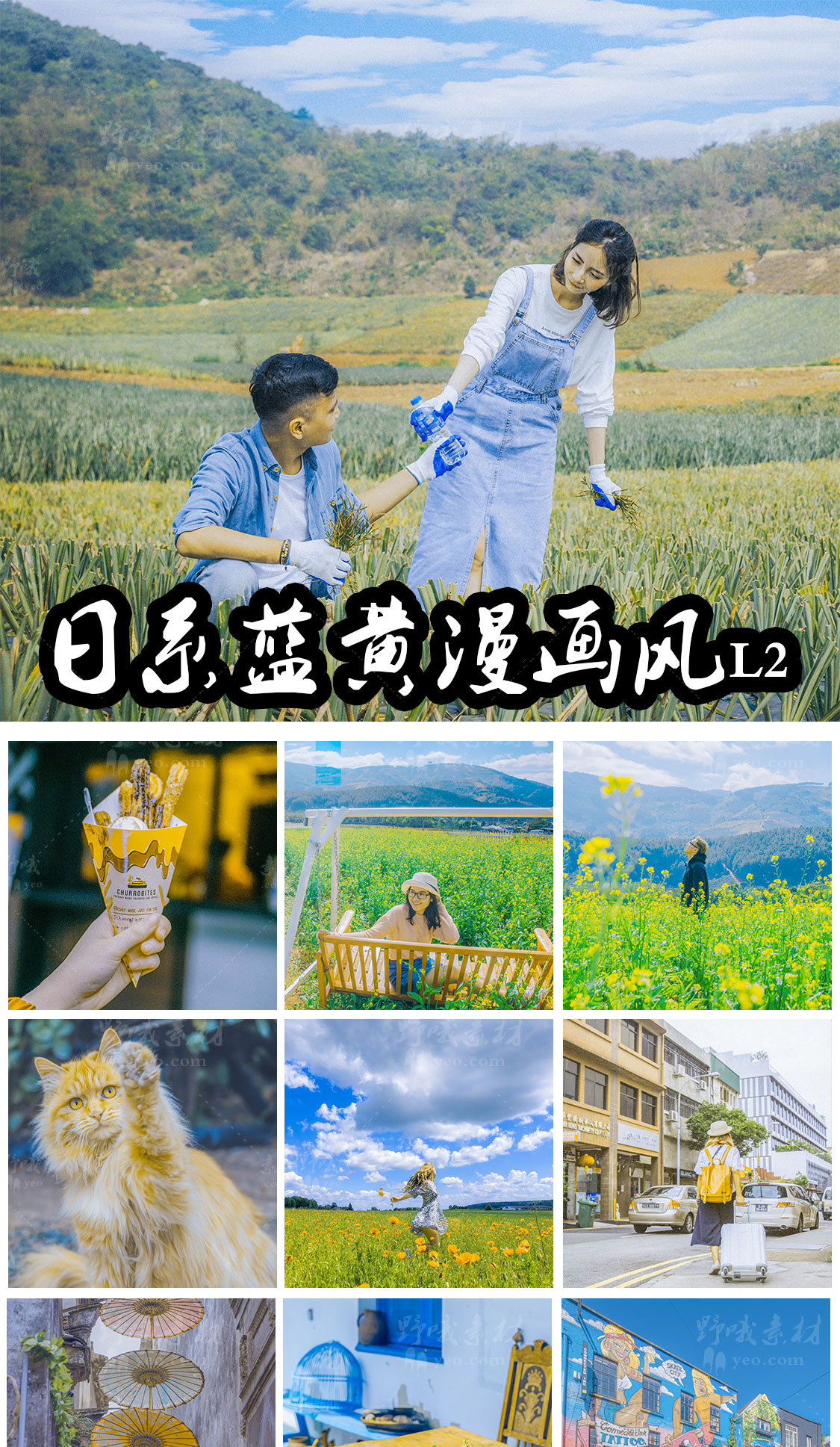 日系小清新 蓝黄色调lightroom预设PR/FCPX达芬奇PS滤镜LUT手机LR