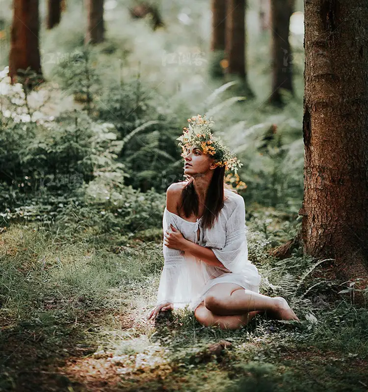 森系胶片调色LR预设滤镜PR/PS/FCPX/达芬奇/AE/Lut素材手机版电脑