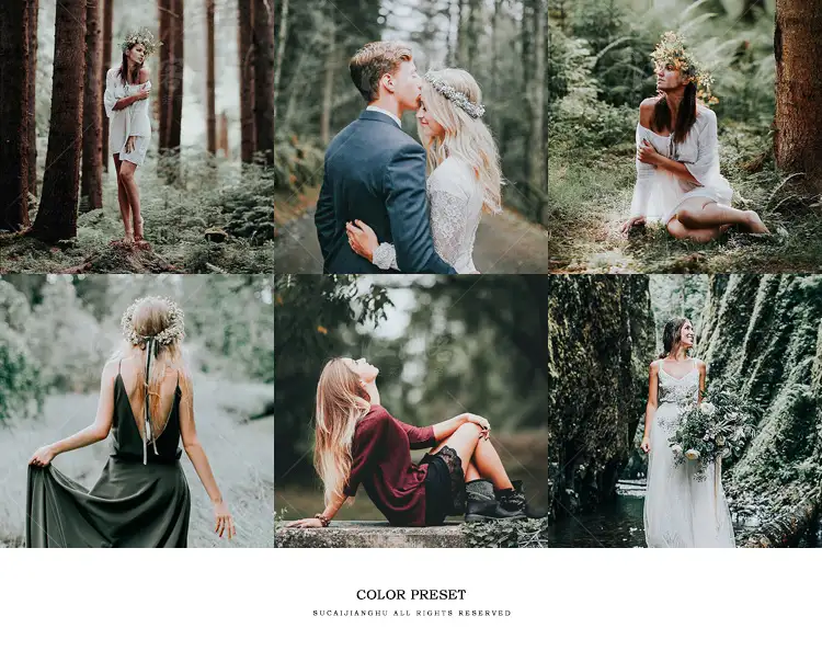 森系胶片调色LR预设滤镜PR/PS/FCPX/达芬奇/AE/Lut素材手机版电脑