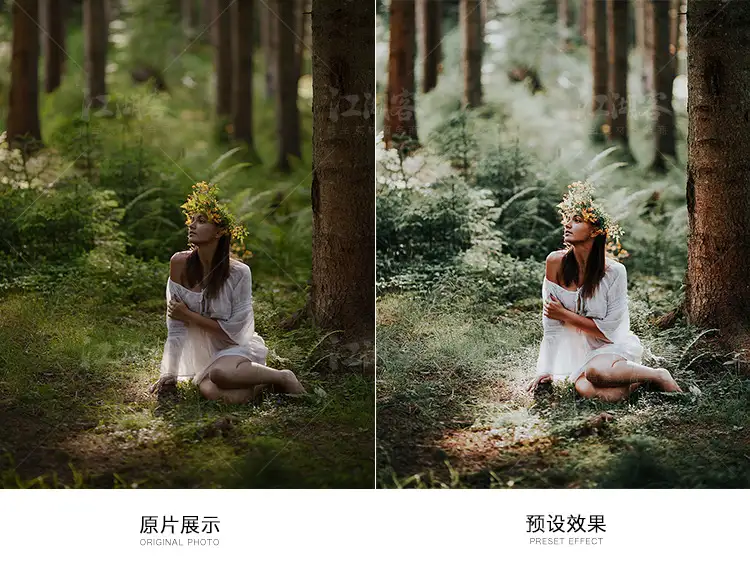 森系胶片调色LR预设滤镜PR/PS/FCPX/达芬奇/AE/Lut素材手机版电脑