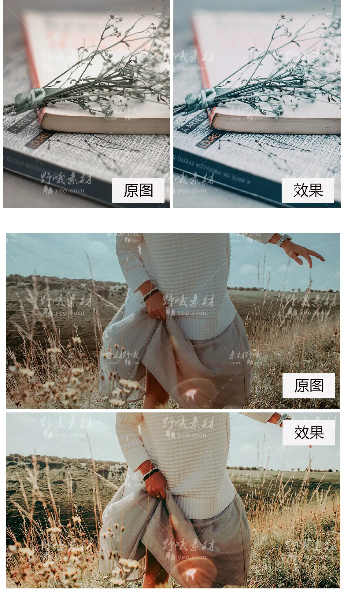 LR预设PS森系清新文艺人像胶片PR/达芬奇/AE/LUT电影FCPX调色滤镜