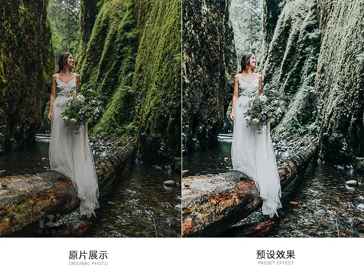 森系胶片调色LR预设滤镜PR/PS/FCPX/达芬奇/AE/Lut素材手机版电脑