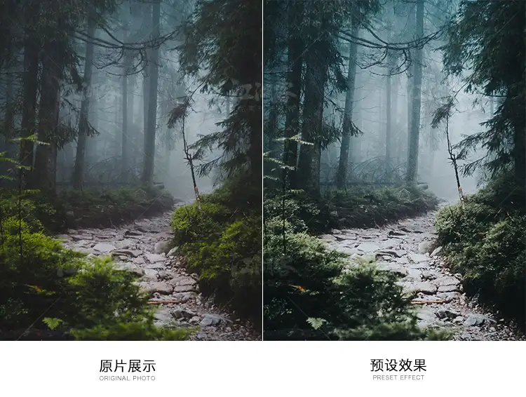 森系胶片调色LR预设滤镜PR/PS/FCPX/达芬奇/AE/Lut素材手机版电脑