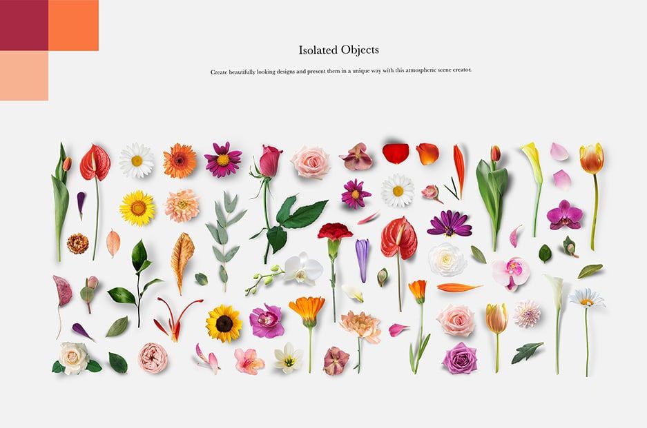 大气生活美食食材果蔬花卉电器预制模型场景PS模板贴图样机