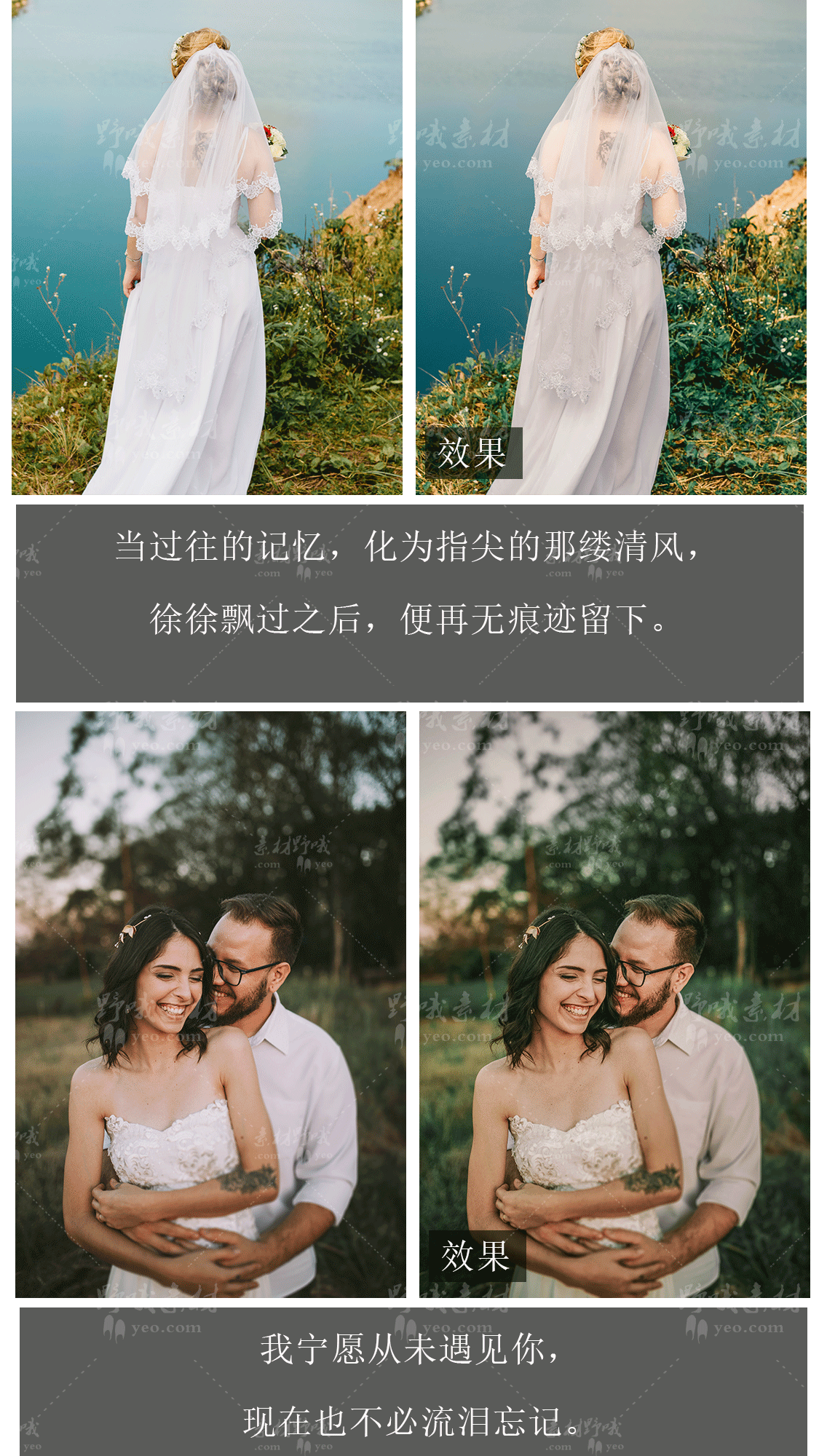 LR调色PS户外婚礼婚纱照写真森系人像摄影PR/FCPX达芬奇LUT预设