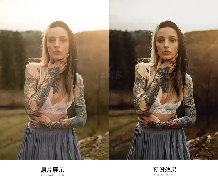 暗调人像调色lightroom预设PS复古人像LR手机FCPX滤镜PR调色LUT