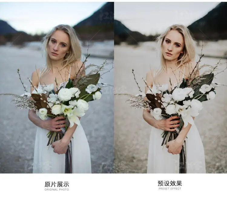 滤镜棕色人像lr手机版预设 Lightroom/PS/PR旅拍复古胶片调色