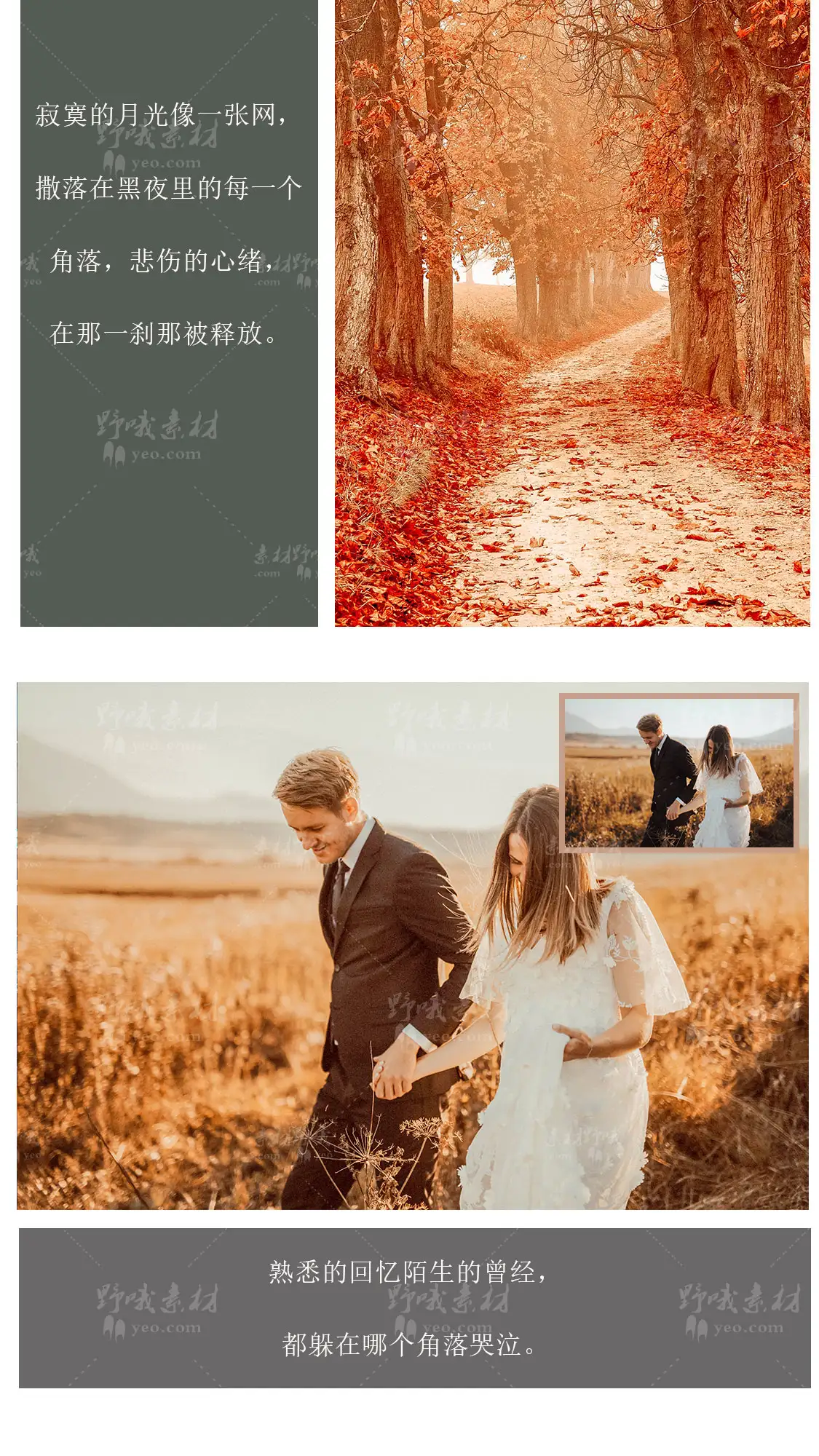 LR预设PS温暖风光旅拍婚礼FCPX达芬奇手机版APP滤镜PR调色LUT
