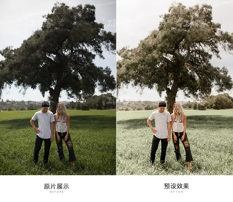 明亮奶油绿色调色电脑手机版Lightroom滤镜 褪色低饱PR/PS/LR预设