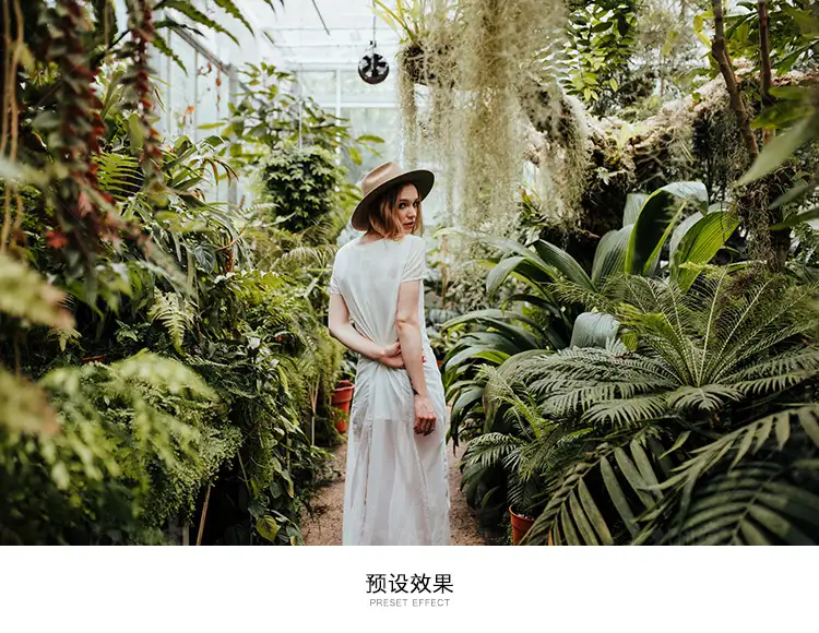 旅拍胶片 LR预设人像色调 Lightroom 手机版电脑滤镜PS/AE/PR调色