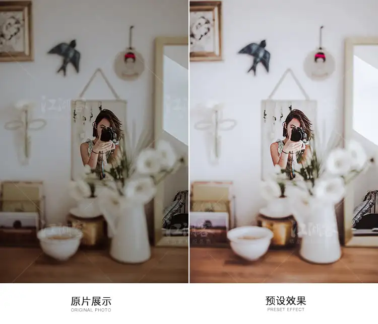 现代清新调色LR预设摄影后期户外调色PS/PR/AE/LUT/FCPX人像滤镜