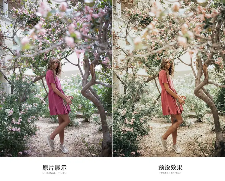 胶片网红风调色预设旅拍街拍Lightroom滤镜人像LR/PS/PR/AE