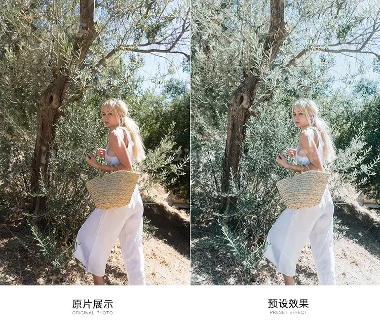 法国网红风LR预设人像旅拍街拍胶片调色滤镜插件PS/PR/AE/FCPX