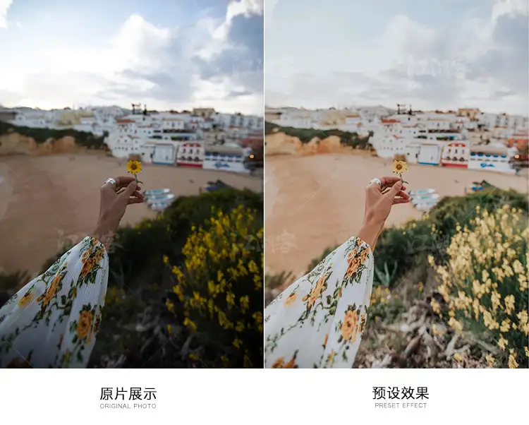 胶片网红风调色预设旅拍街拍Lightroom滤镜人像LR/PS/PR/AE