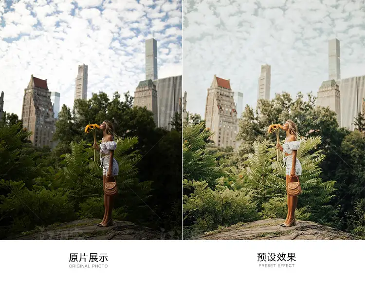 胶片网红风调色预设旅拍街拍Lightroom滤镜人像LR/PS/PR/AE