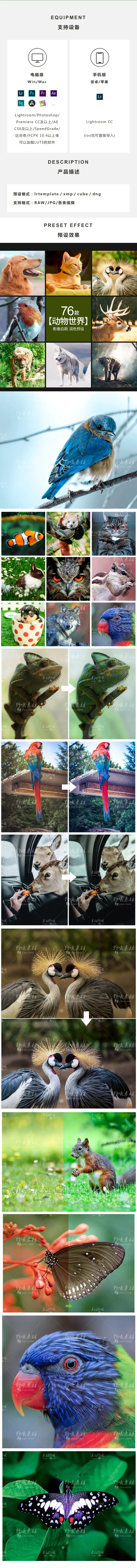 LR/PS预设室外自然风景动物宠物写真摄影后期PR/AE/FCPX调色滤镜