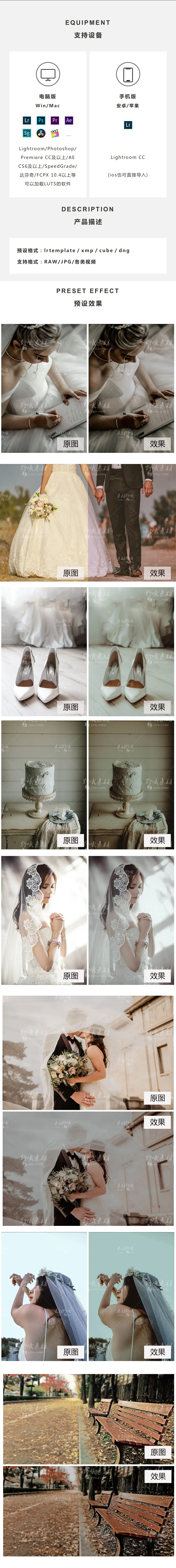 LR预设PS法式胶片人像莫兰迪FCPX达芬奇手机版APP滤镜PR调色LUT