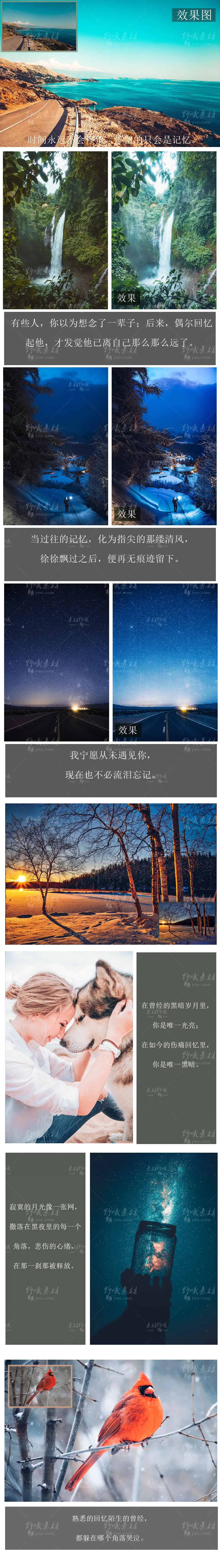 LR预设风光人像动物旅拍PS达芬奇FCPX手机版APP滤镜PR调色LUT