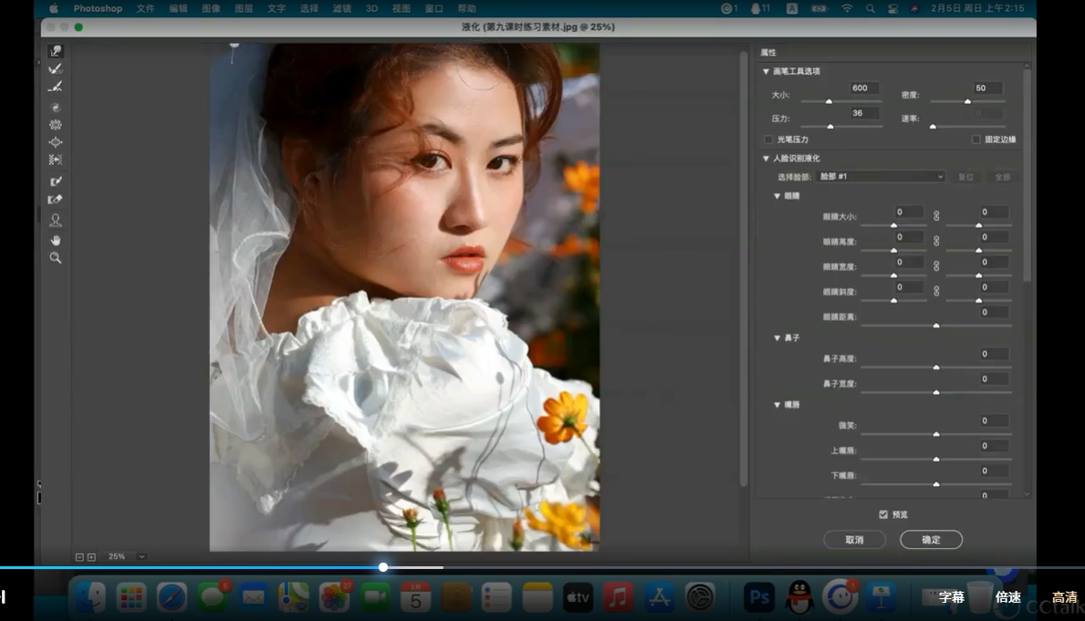 猫叔日记人像后期修图课视频教程