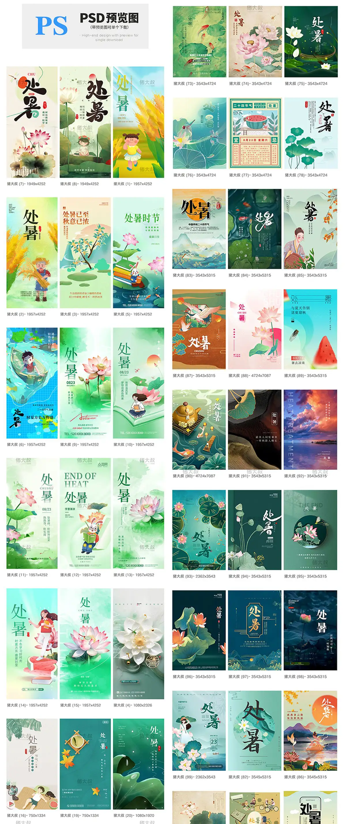 二十四24节气处暑夏日荷花活动宣传展板插画设计海报模板PSD素材