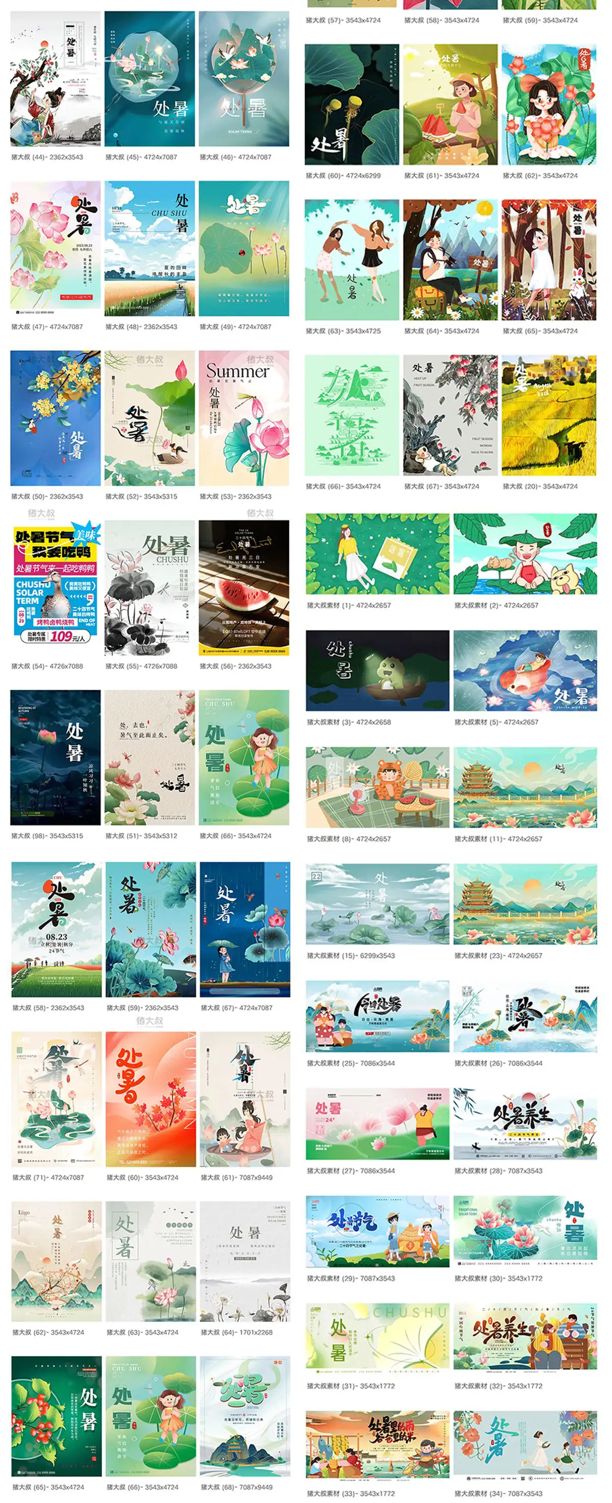 二十四24节气处暑夏日荷花活动宣传展板插画设计海报模板PSD素材