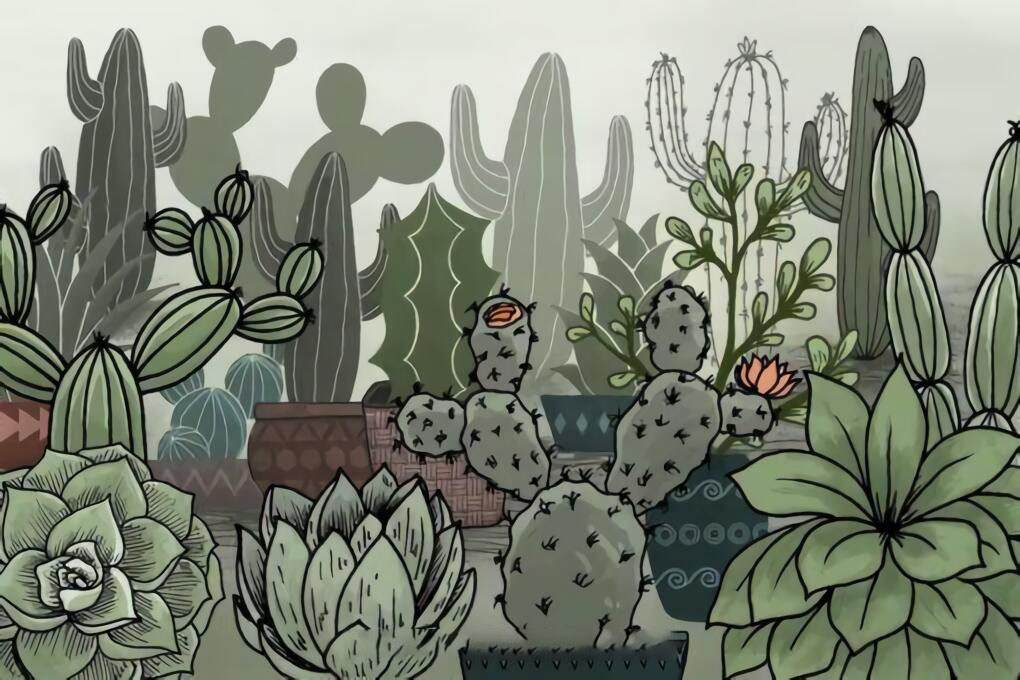 仙人掌多肉植物和花盆Procreate笔刷