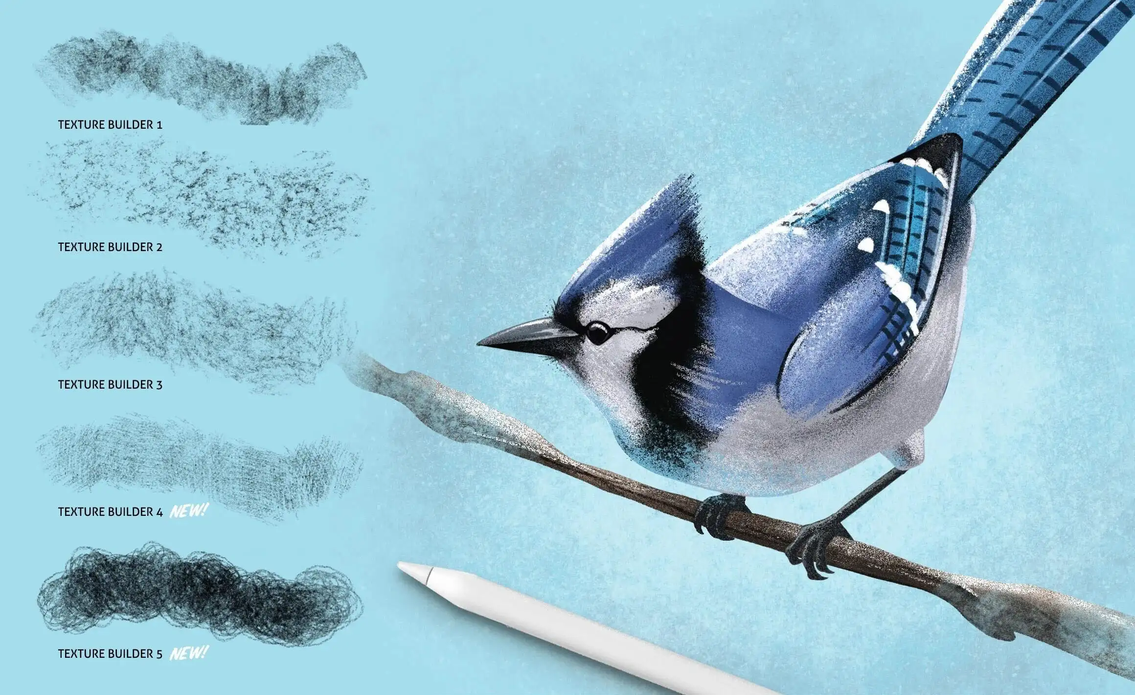 蜡笔木炭效果Procreate笔刷