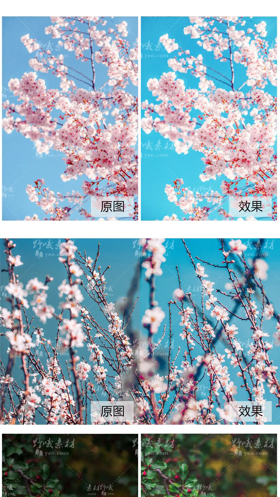 LR预设PS日系梦幻粉色樱花人像调色PR/FCP达芬奇AE手机APP滤镜LUT