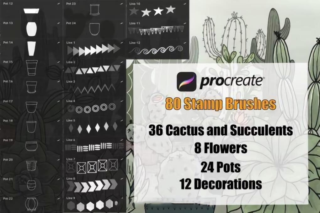 仙人掌多肉植物和花盆Procreate笔刷