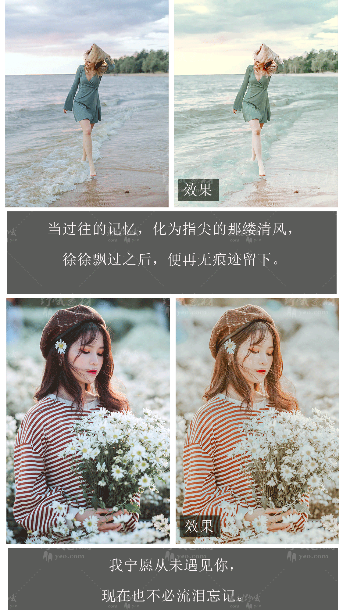 LR预设PS风光青色海边旅拍FCPX达芬奇手机版APP滤镜PR调色LUT