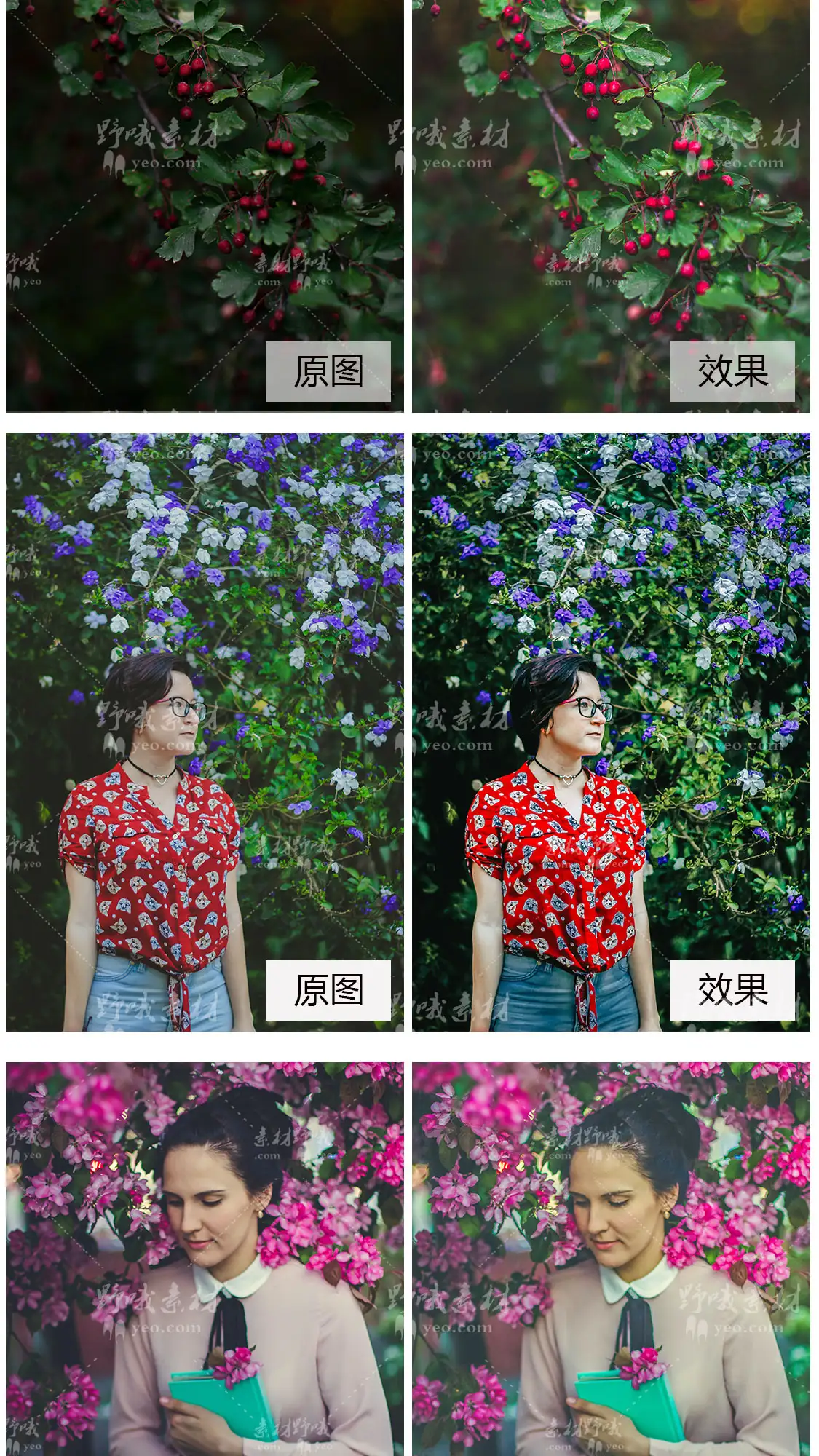 LR预设PS日系梦幻粉色樱花人像调色PR/FCP达芬奇AE手机APP滤镜LUT