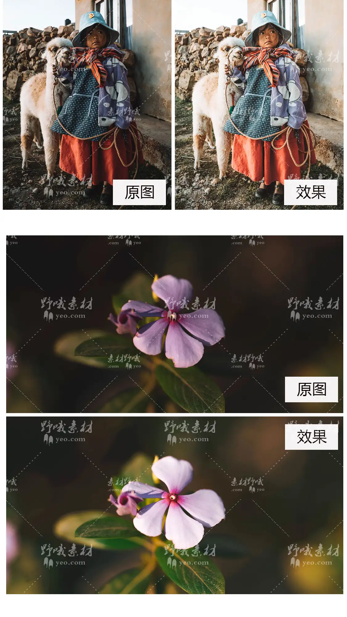LR预设PS明亮清新ins室内lightroom通透FCPX手机APP滤镜PR调色LUT
