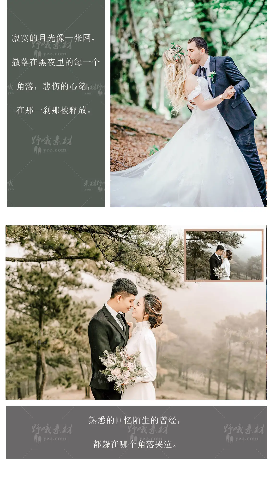 LR预设PS婚礼人像跟拍唯美小清新FCPX达芬奇手机APP滤镜PR调色LUT