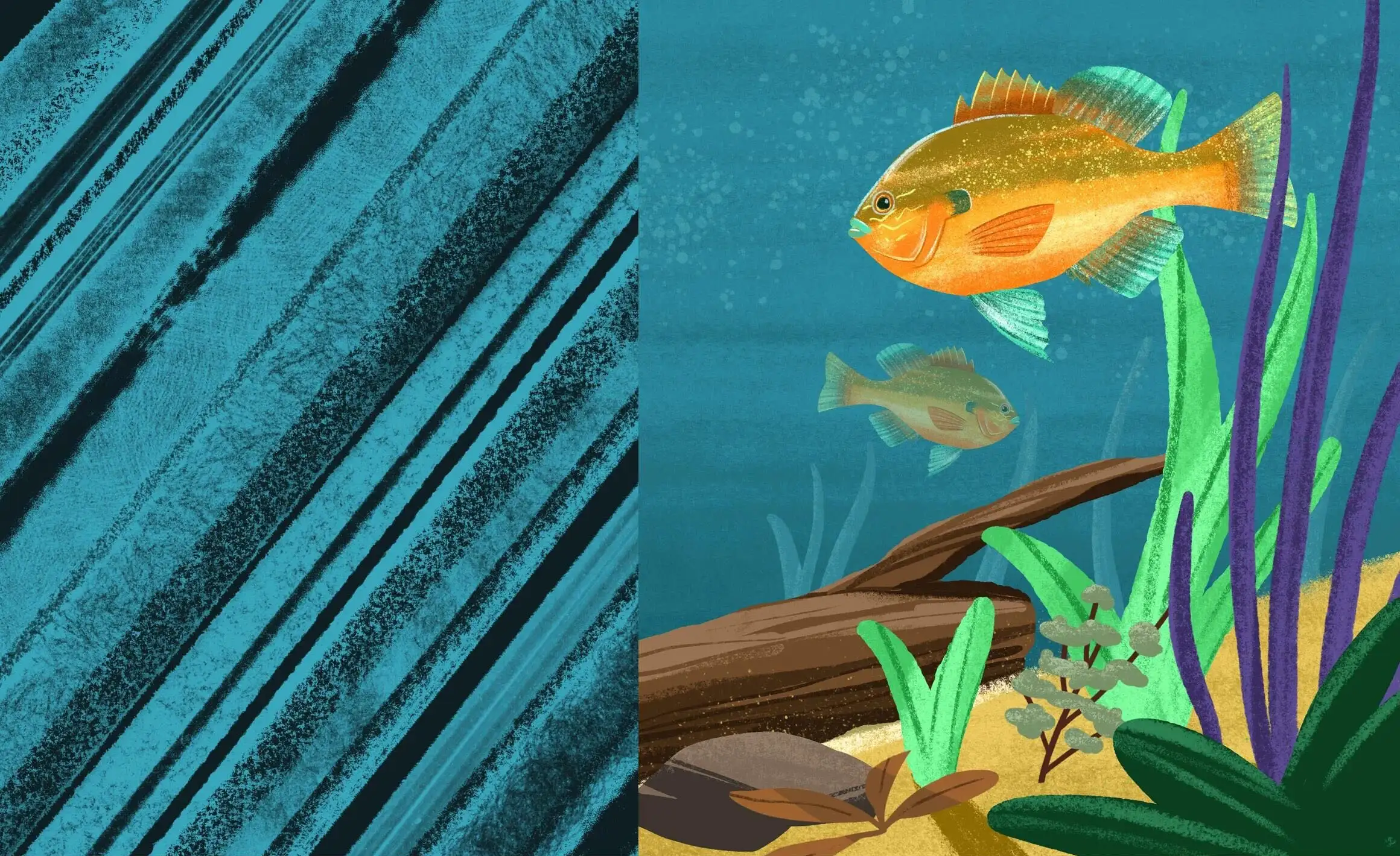 蜡笔木炭效果Procreate笔刷