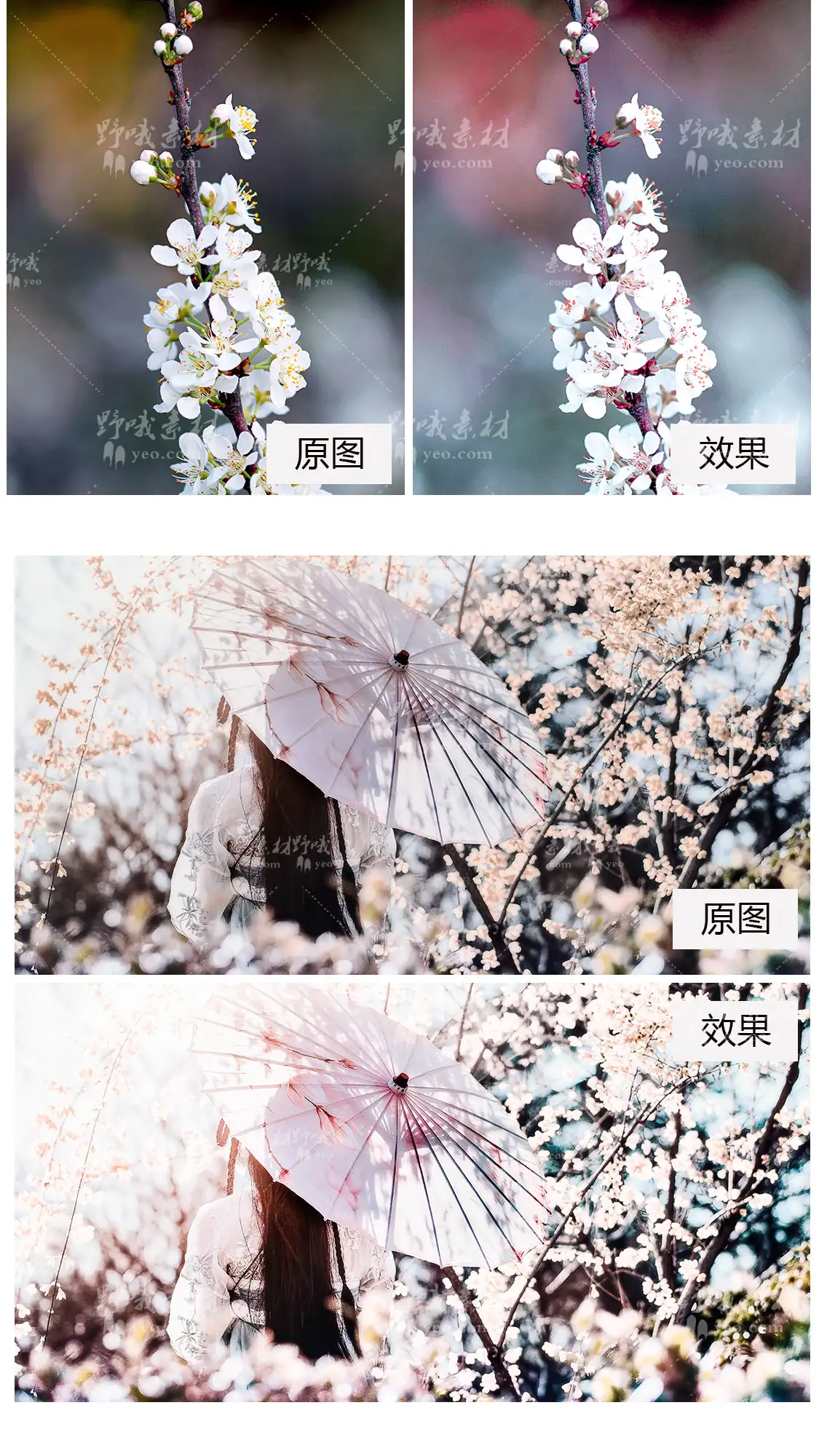 LR预设PS日系梦幻粉色樱花人像调色PR/FCP达芬奇AE手机APP滤镜LUT