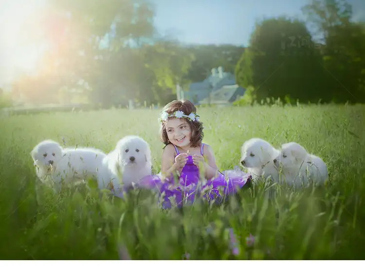 Lightroom人像预设清新唯美温暖风格国外修图lr儿童摄影照片调色