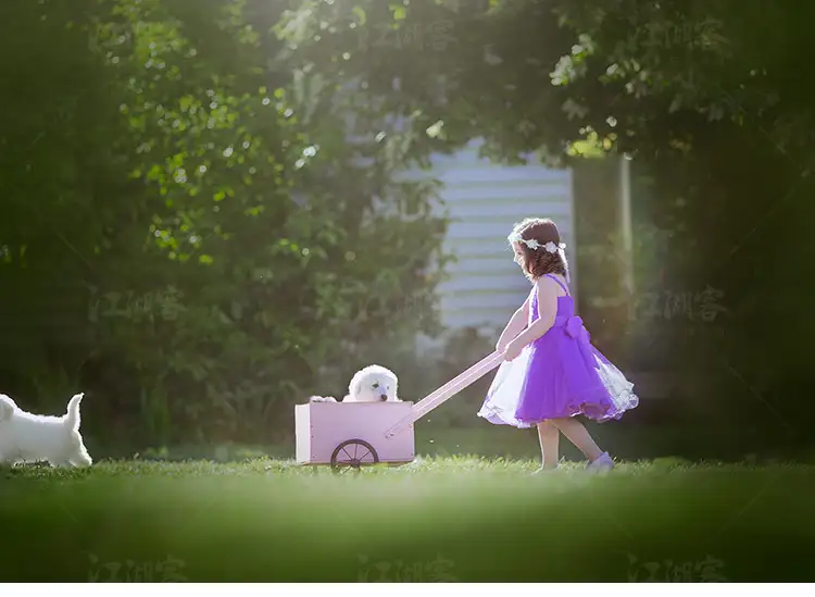 Lightroom人像预设清新唯美温暖风格国外修图lr儿童摄影照片调色