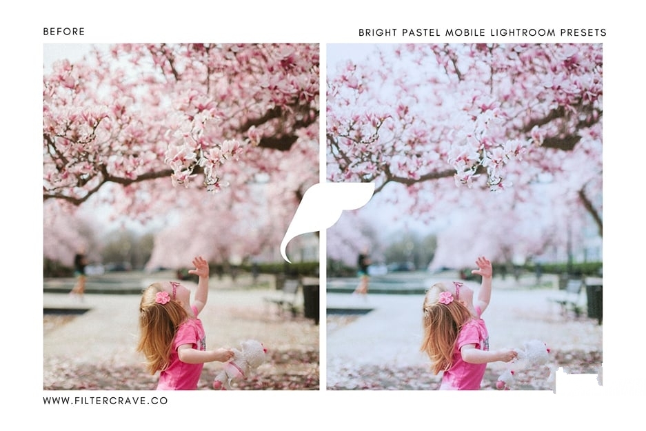 明亮柔和清新日系风格摄影后期调色Lightroom预设