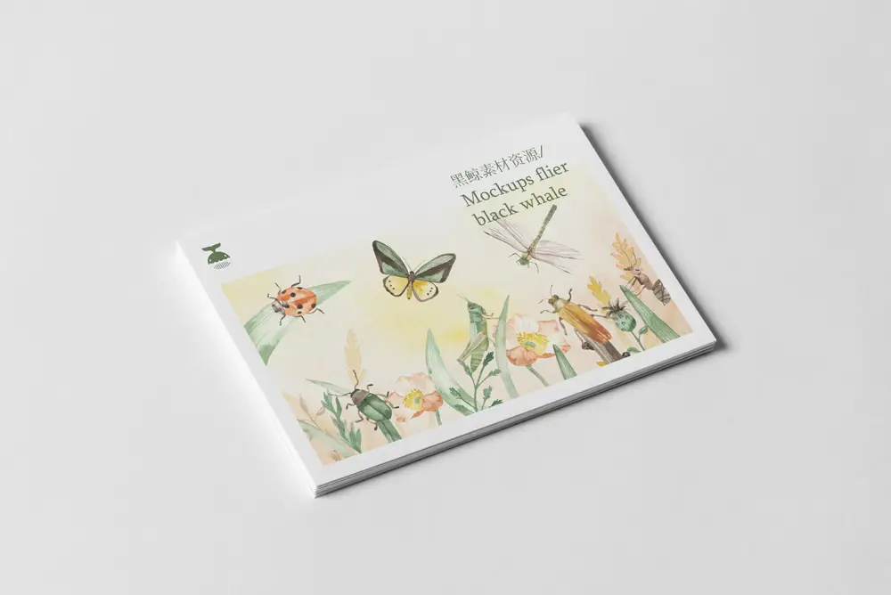 明信片卡片邀请函贺卡效果图展示PSD智能贴图样机模板PS设计素材