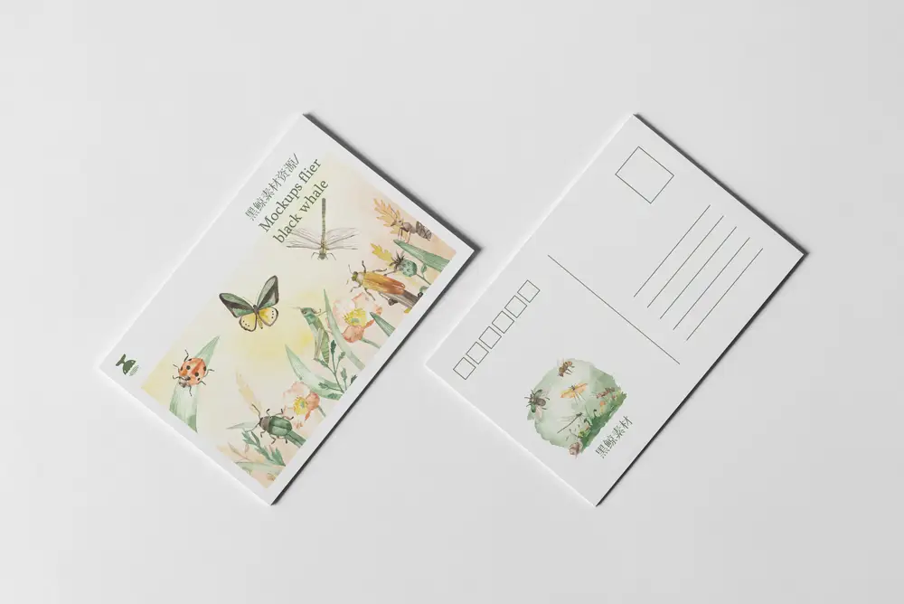 明信片卡片邀请函贺卡效果图展示PSD智能贴图样机模板PS设计素材